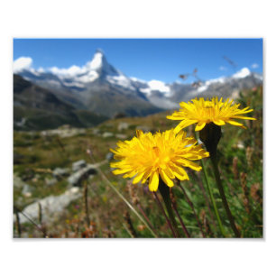 Valais Alpernas Swiss Fototryck