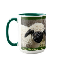 Valais Black Nose-lamm