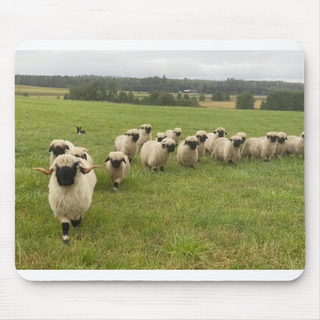 Valais Black Nose Sheep Muspad Musmatta (Framsidan)