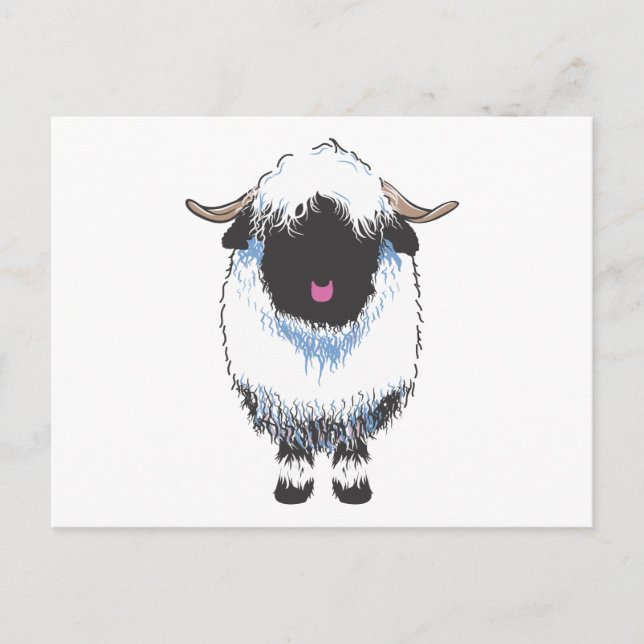 Valais Black Nose Sheep Postcard Vykort (Framsida)