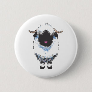 VALAIS BLACKNOSE FÅR KNAPP