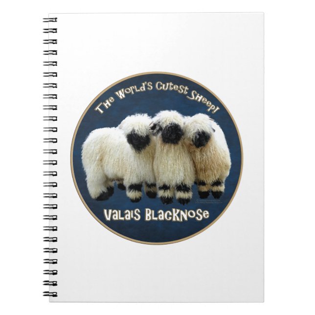 Valais Blacknose - världens mest gulliga får! Anteckningsbok (Framsidan)