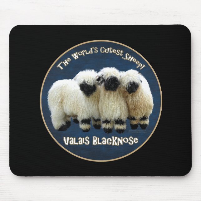 Valais Blacknose - världs mest gulliga får! Musen Musmatta (Framsidan)