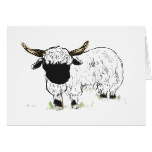 Valais blacknosefår hälsningskort
