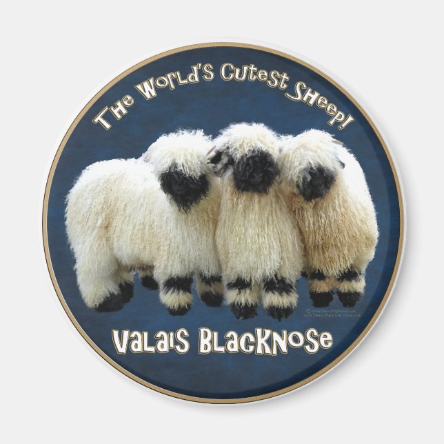 Valais Blendorse - världens bästa får! Magnet (Framsidan)