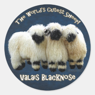 Valais Blendorse - World's Cutest Sheep Sticker Runt Klistermärke