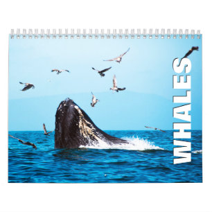Valar 2022 Väggskalender Kalender