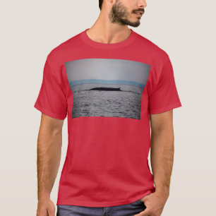 Valar i ett regnstormutskrift t shirt
