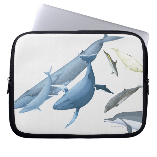 Valar Laptop Sleeve (Framsidan)