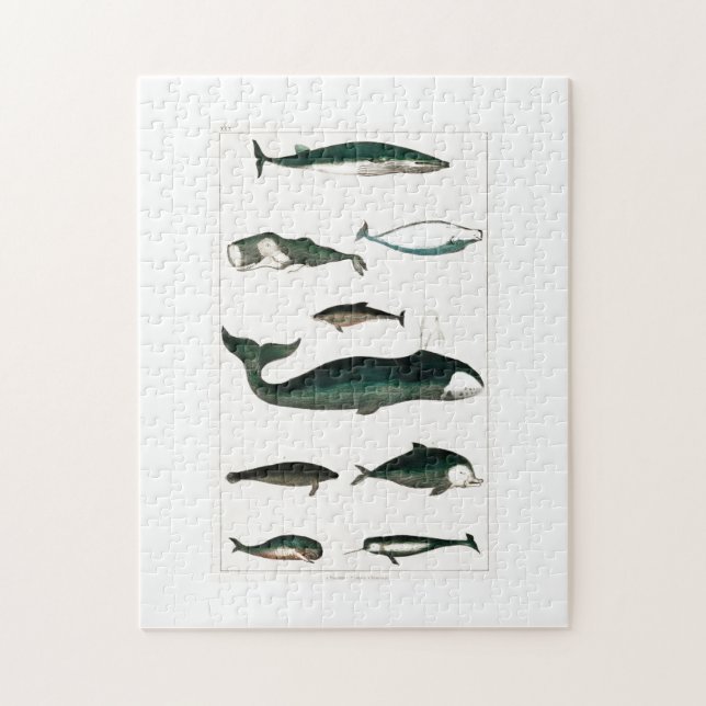 Valar Ocean Sea Vatten Orca Pussel (Vertikal)