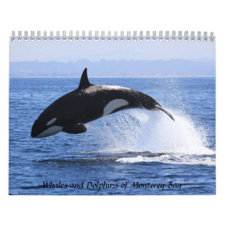 Valar och delfiner i Monterey Bay Kalender