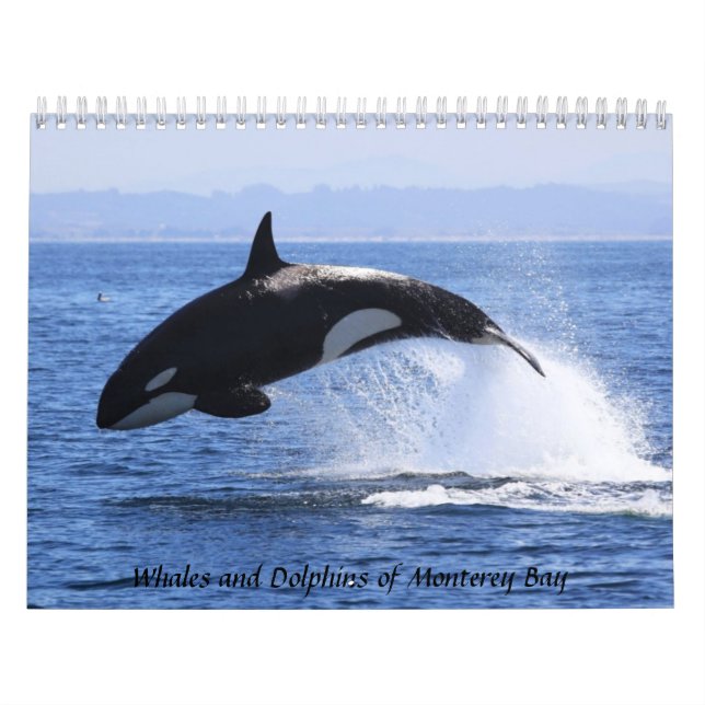 Valar och delfiner i Monterey Bay Kalender (Omslag)