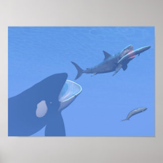 Valar och megalodon under vatten - 3D-rendering Poster