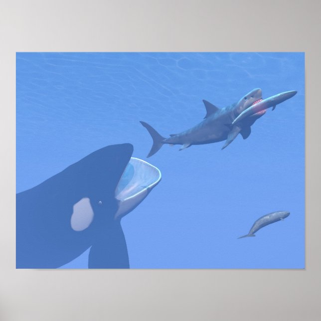Valar och megalodon under vatten - 3D-rendering Poster (Framsidan)