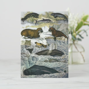 Valar, sälar och valrossar, antika marina djur inbjudningar