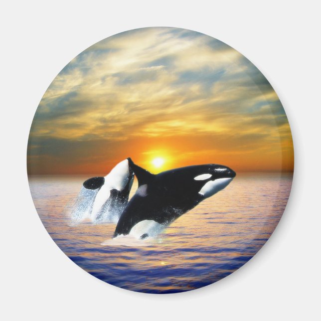 Valar vid sunset magnet (Framsidan)