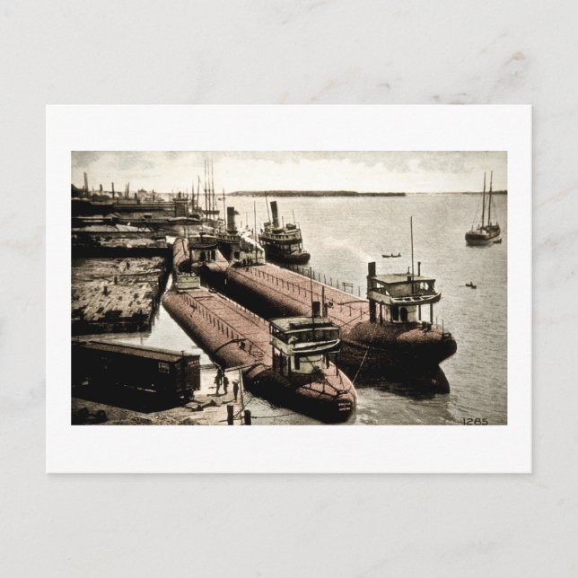 Valbacks vid Belle Isle, Michigan Vykort (Framsida)