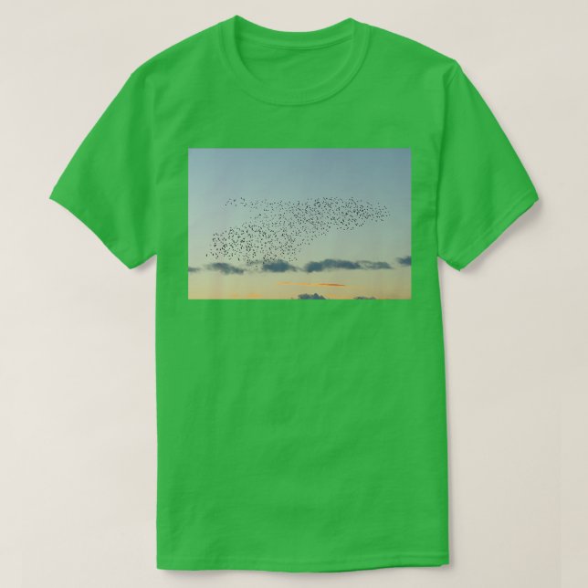 Valbildning i Starling Long T Shirt (Design framsida)