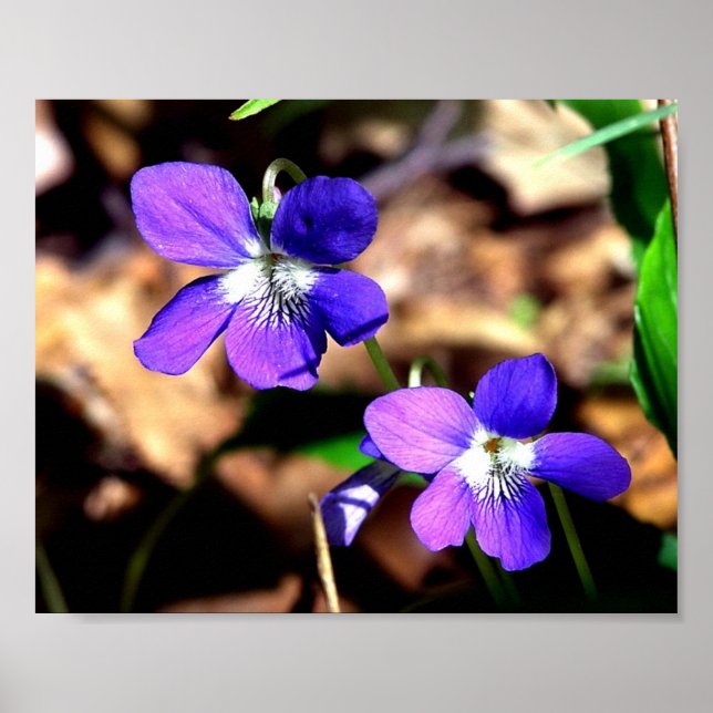 Våld som står på spel poster (Framsidan)