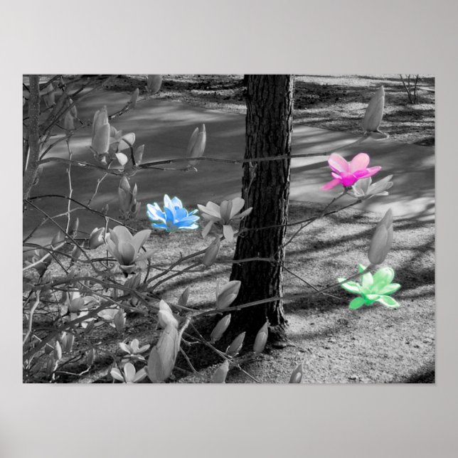 Valda blommor poster (Framsidan)