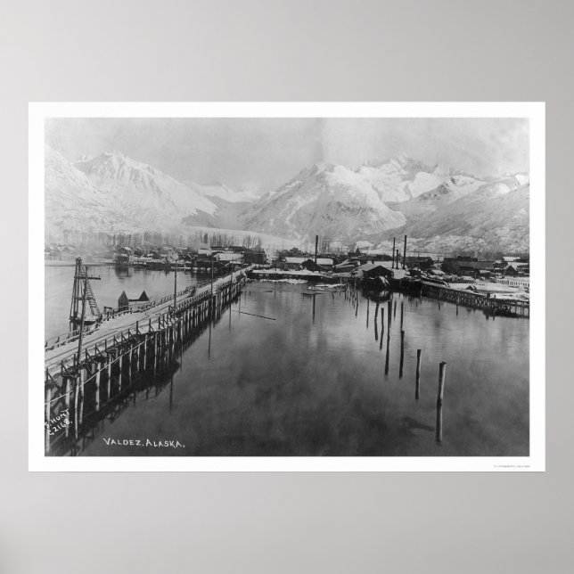Valdez, Alaska Birdseye 1905 Poster (Framsidan)