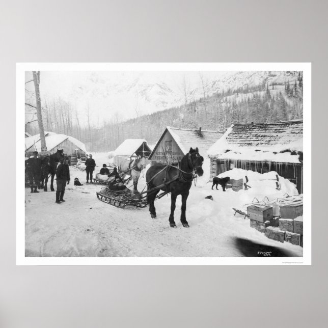 Valdez Trail Horses Alaska 1912 Poster (Framsidan)