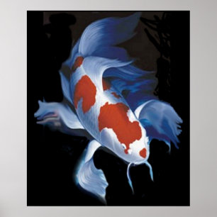Väldiga Koi Poster