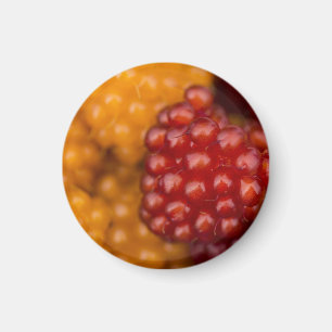 Väldigt Berry Magnet