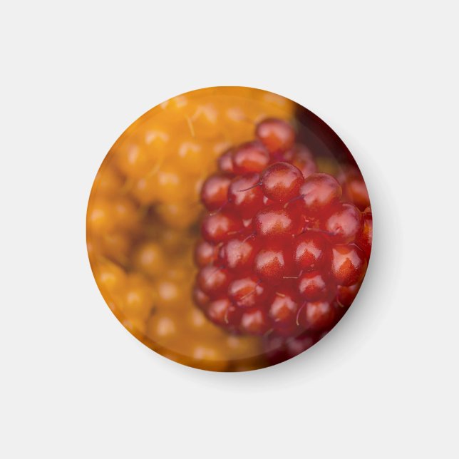 Väldigt Berry Magnet (Framsidan)