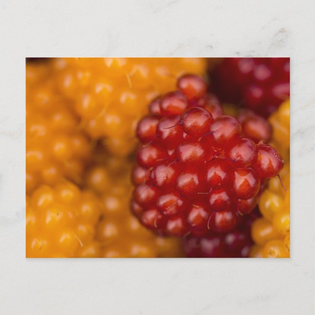 Väldigt Berry Vykort (Framsida)