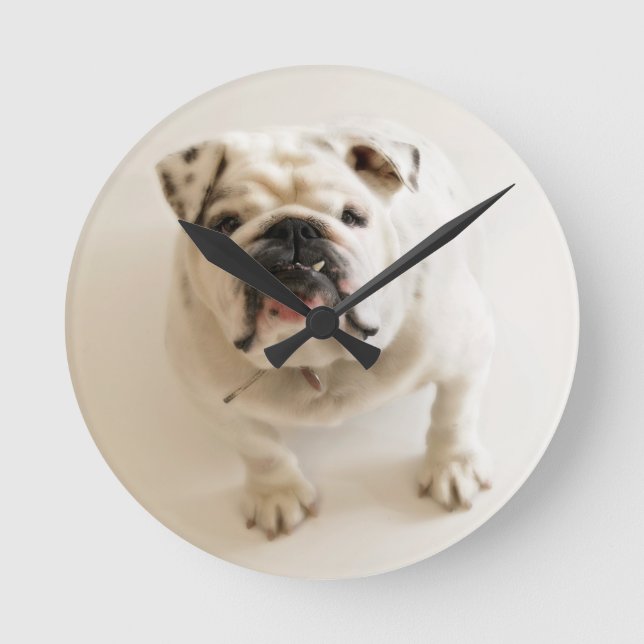 Väldigt Cute Bulldog Rund Klocka (Framsida)