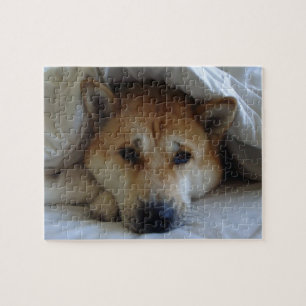 Väldigt söt bild i sovande hund pussel
