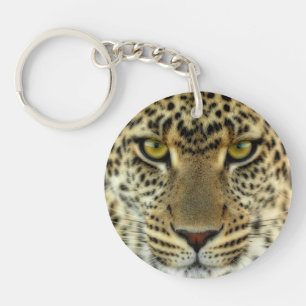 Våldsam Leopard