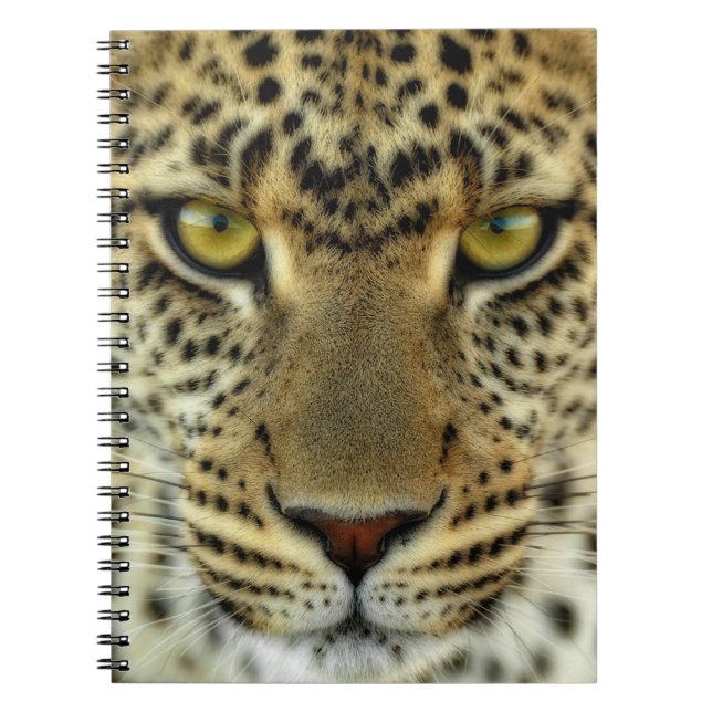 Våldsam Leopard Anteckningsbok Med Spiral (Framsidan)