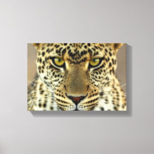 Våldsam Leopard Canvastryck