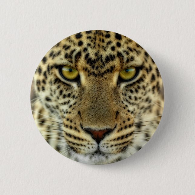 Våldsam Leopard Knapp (Framsida)