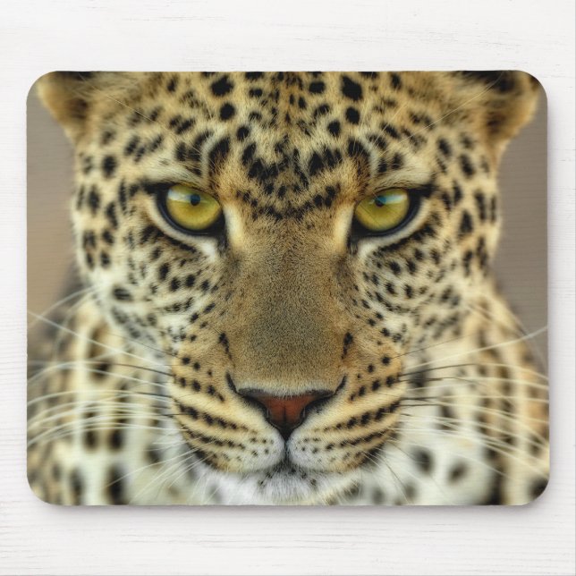 Våldsam Leopard Musmatta (Framsidan)
