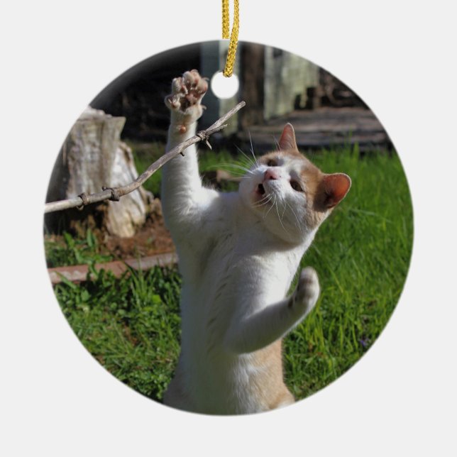 Våldsam rovdjur julgransprydnad keramik (Framsidan)