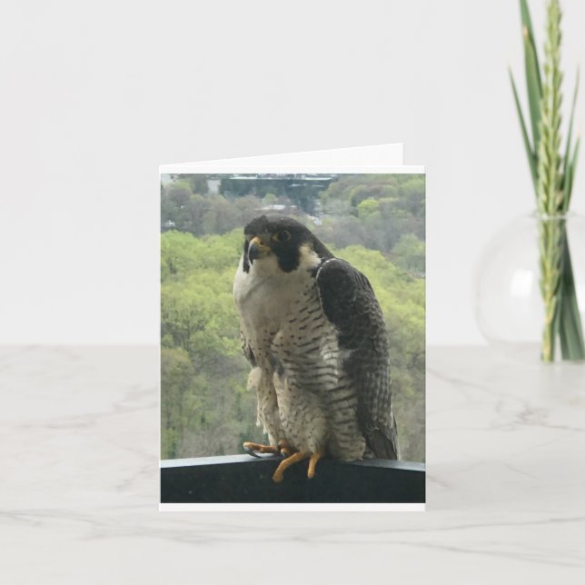 våldtäktsman kort (Framsida)