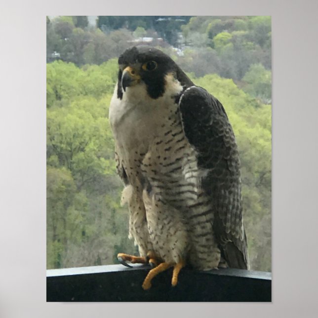 våldtäktsman poster (Framsidan)