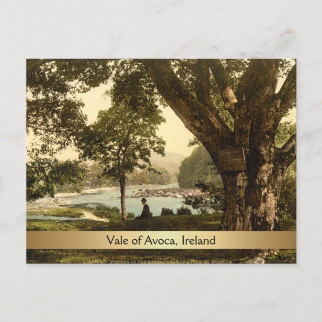 Vale of Avoca, County Wicklow, Irland Vykort (Framsida)