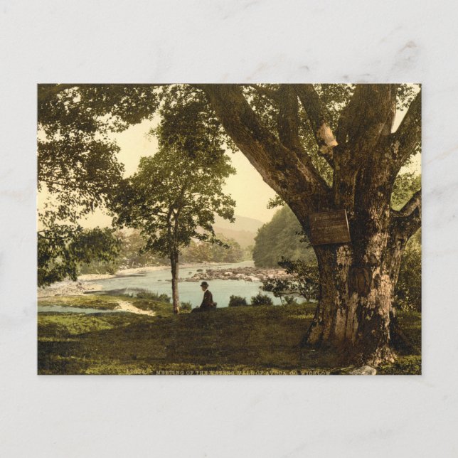 Vale of Avoca, County Wicklow Vykort (Framsida)