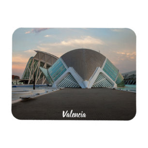 Valencia ciudad de las artes y lasciencias magnet