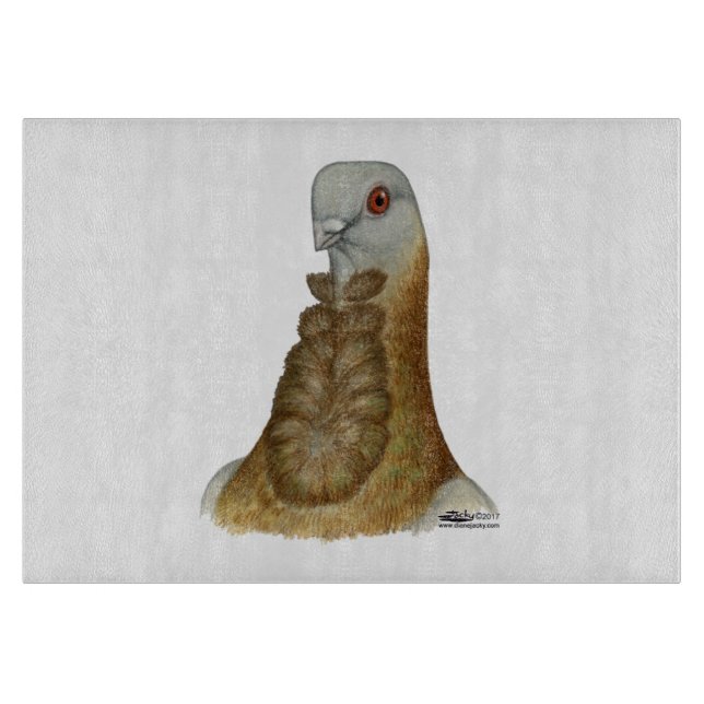 Valencian Figurita Pigeon Porträtt (Framsidan)