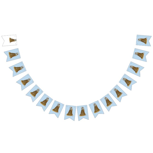 Valencian Figurita Pigeon Porträtt Vimplar (Alla)