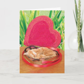 Valentin bäst för kort för dagkatt roligt gulligt