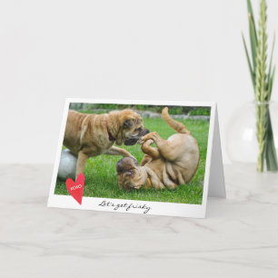 Valentin dag l5At oss få det ystra hundfotoet Helgkort