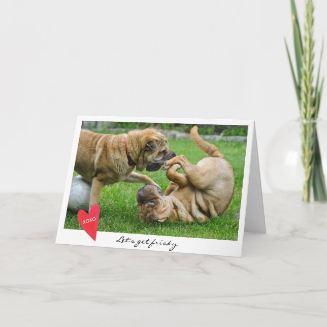 Valentin dag l5At oss få det ystra hundfotoet Helgkort (Framsida)