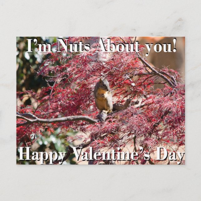 Valentin dagkortet för skolar helg vykort (Framsida)