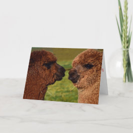 Valentin för Alpacakärlek BFF kort för dag
